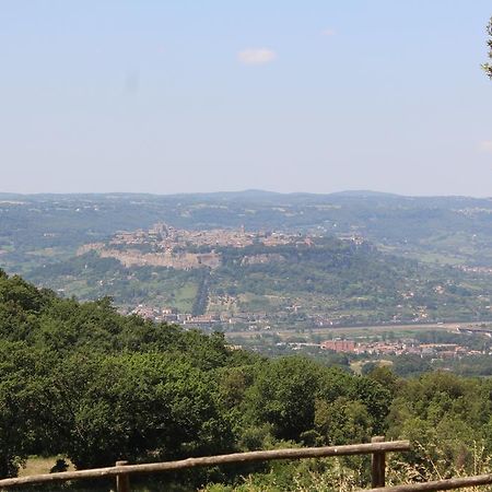 Agriturismo Fattoria Poggio Boalaio Orvieto Dış mekan fotoğraf
