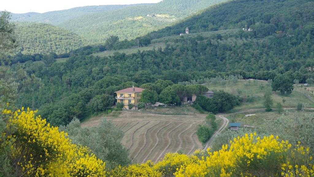 Agriturismo Fattoria Poggio Boalaio Orvieto Dış mekan fotoğraf