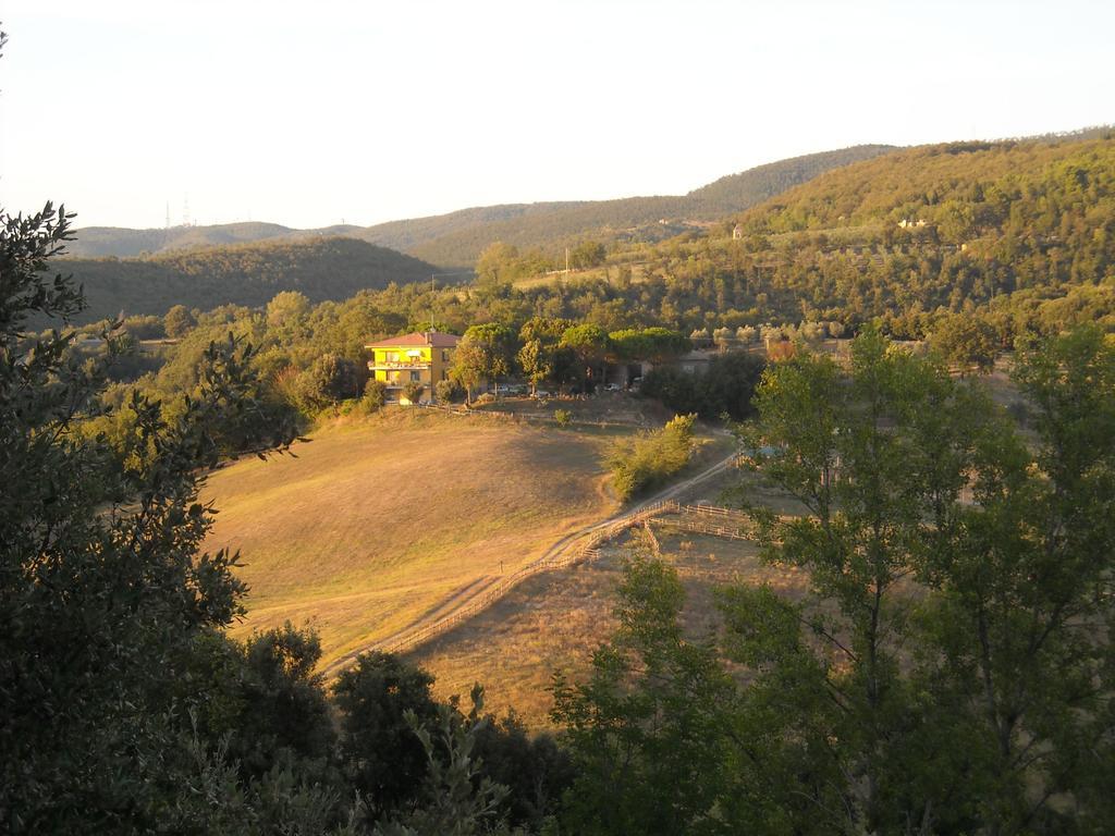 Agriturismo Fattoria Poggio Boalaio Orvieto Dış mekan fotoğraf