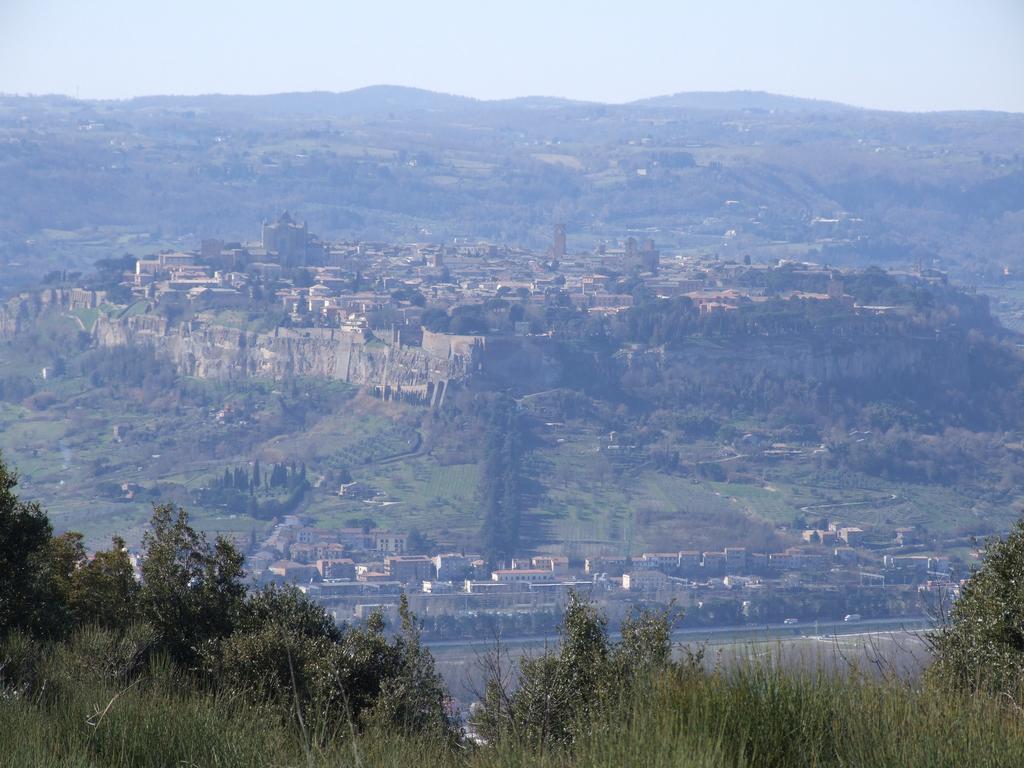 Agriturismo Fattoria Poggio Boalaio Orvieto Dış mekan fotoğraf