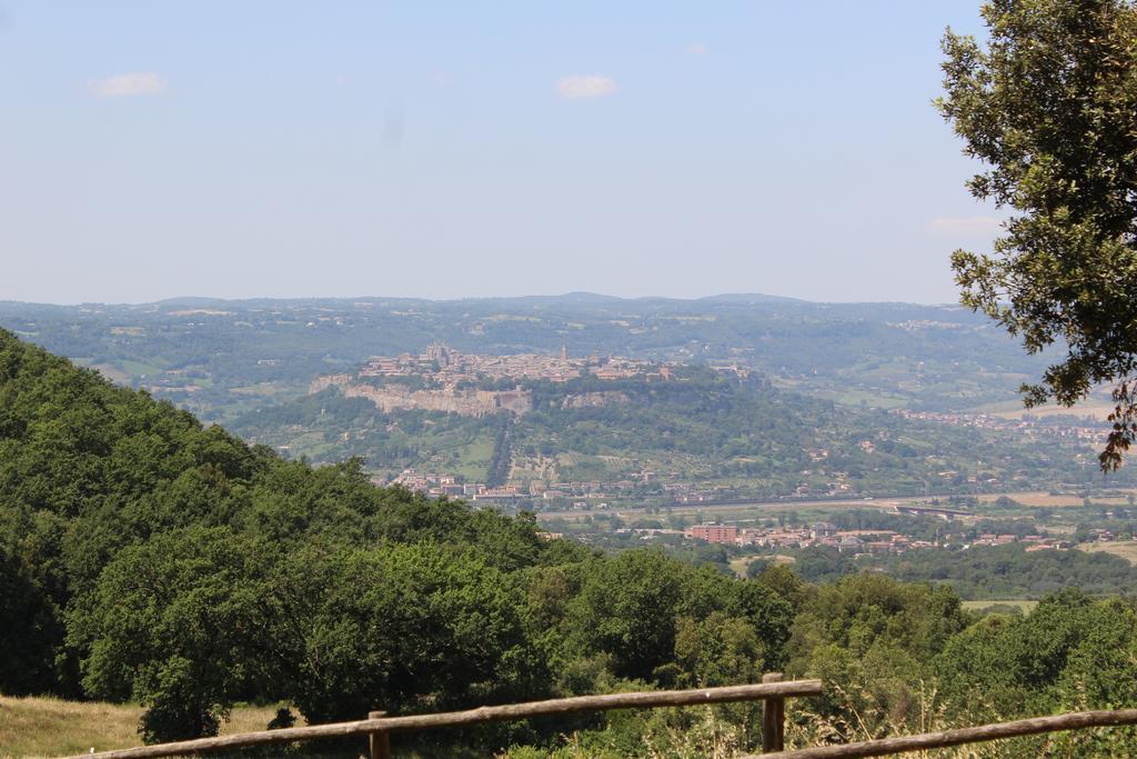 Agriturismo Fattoria Poggio Boalaio Orvieto Dış mekan fotoğraf