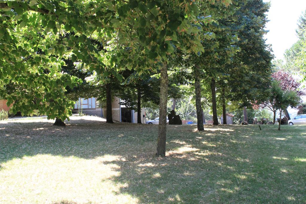 Agriturismo Fattoria Poggio Boalaio Orvieto Dış mekan fotoğraf