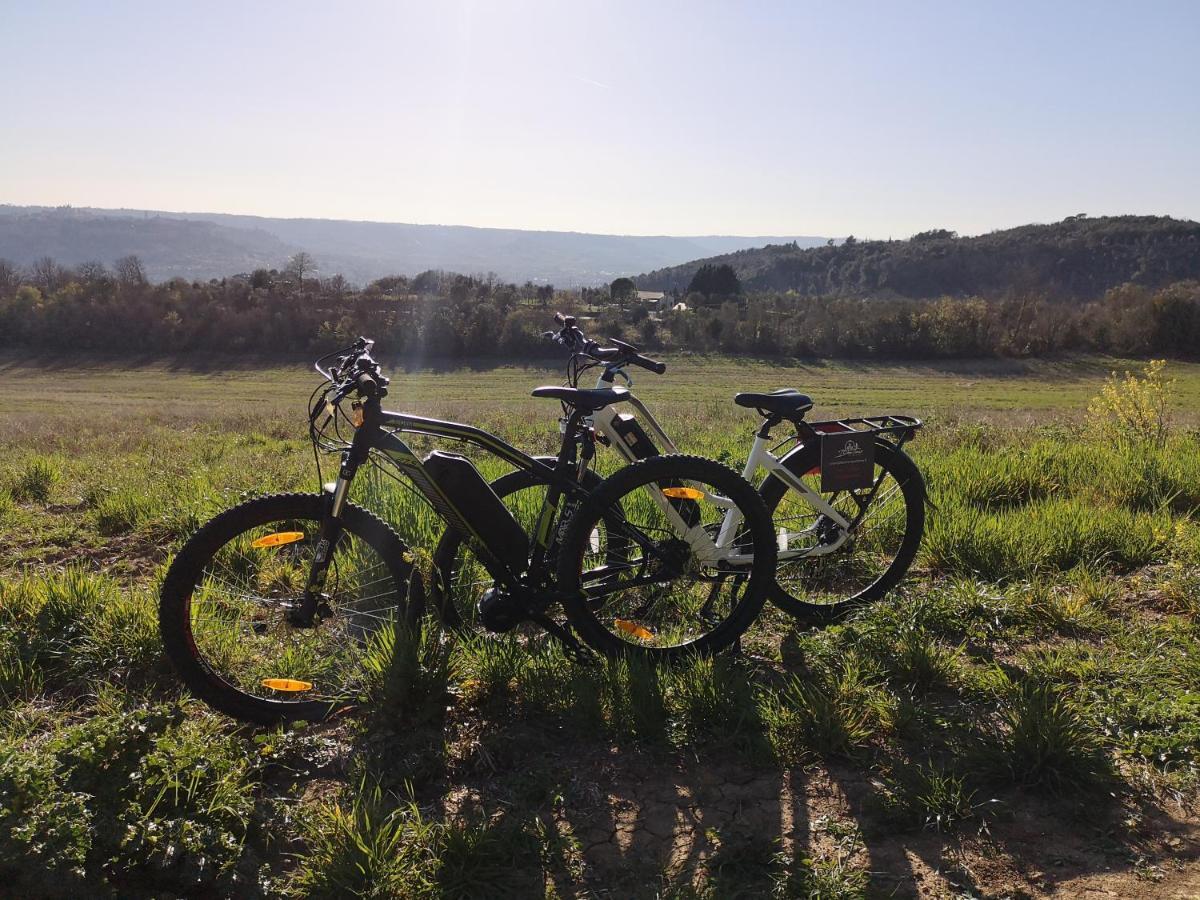 Agriturismo Fattoria Poggio Boalaio Orvieto Dış mekan fotoğraf